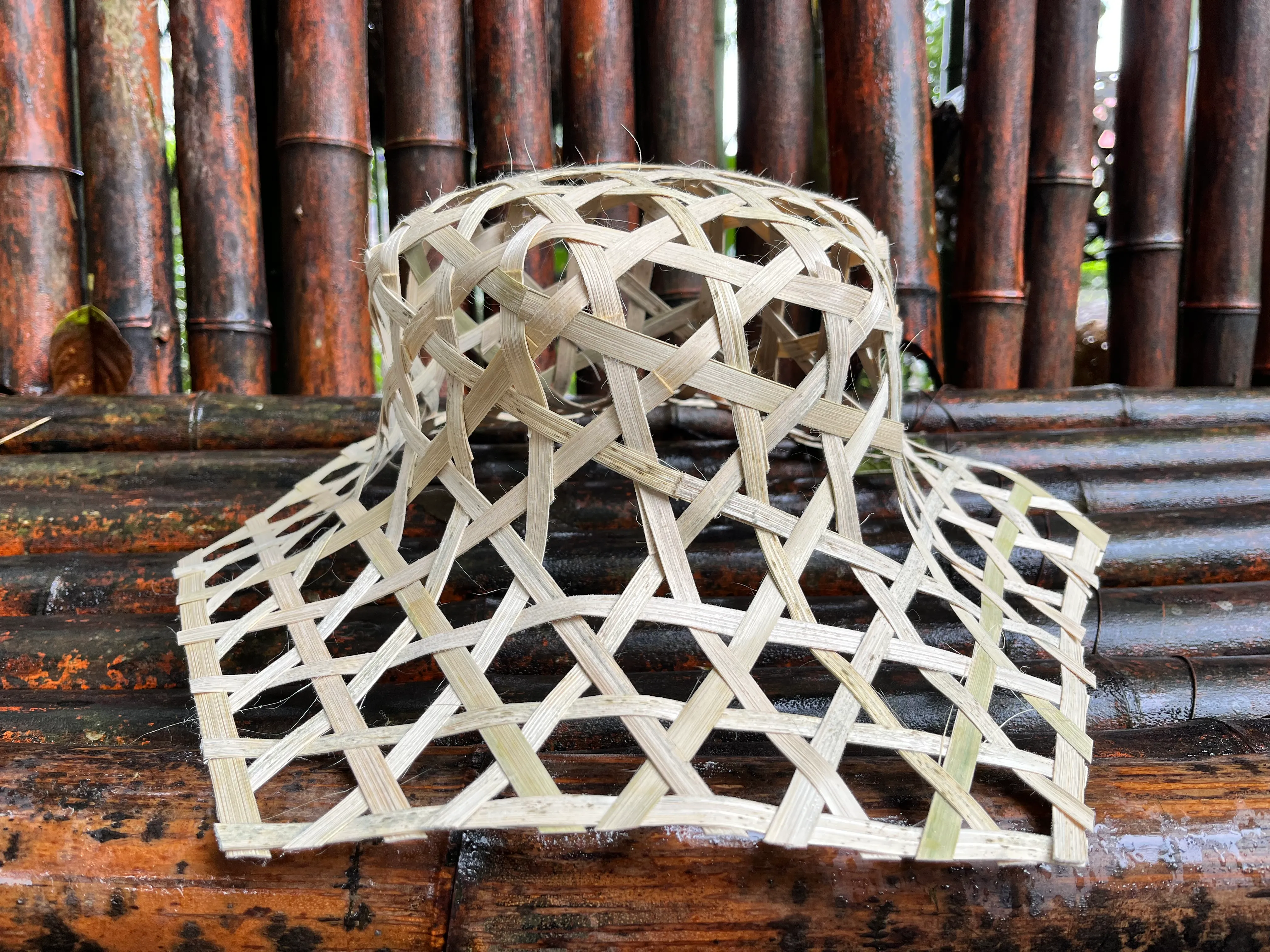Palden with the first bamboo prototype generated by the algorithm