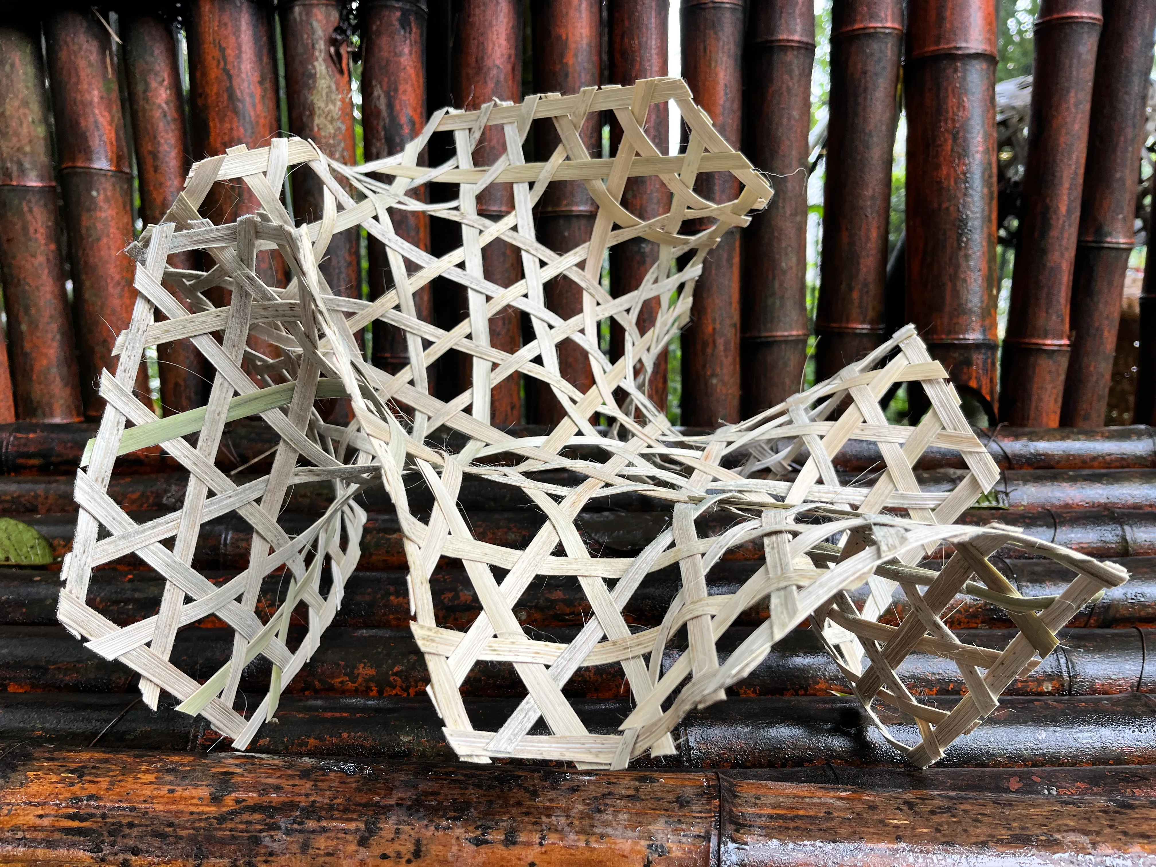 A freeform bamboo prototype generated by the algorithm